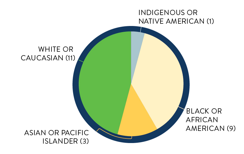 Number of Micro Grant recipients by race in 2024: Indigenous or Native American, 1. Black or African American, 9. Asian or Pacific Islander, 3. White or Caucasian, 11.
